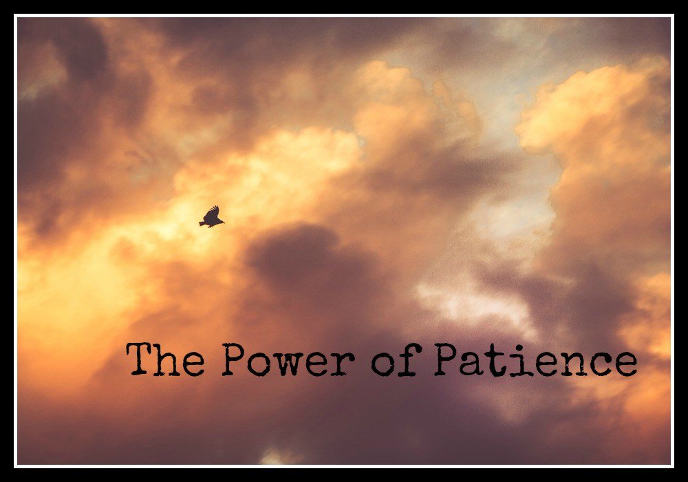 MuslimFigures's tweet photo. #Read the full #story of the #patient #woman, #Liya, the #wife of #Prophet #Ayyub..
#share
https://t.co/A4PLNUjs5U https://t.co/LTZIM557ZV