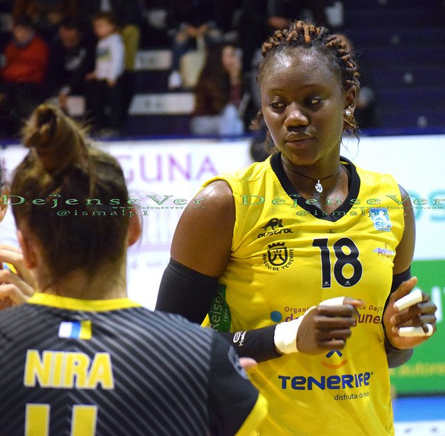 Dejense Ver tweet media