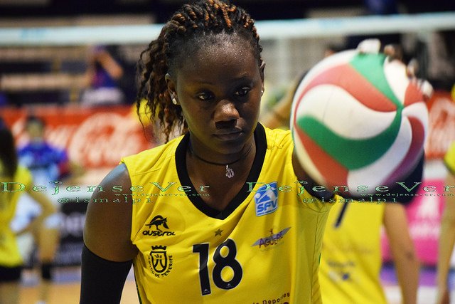 Dejense Ver tweet media