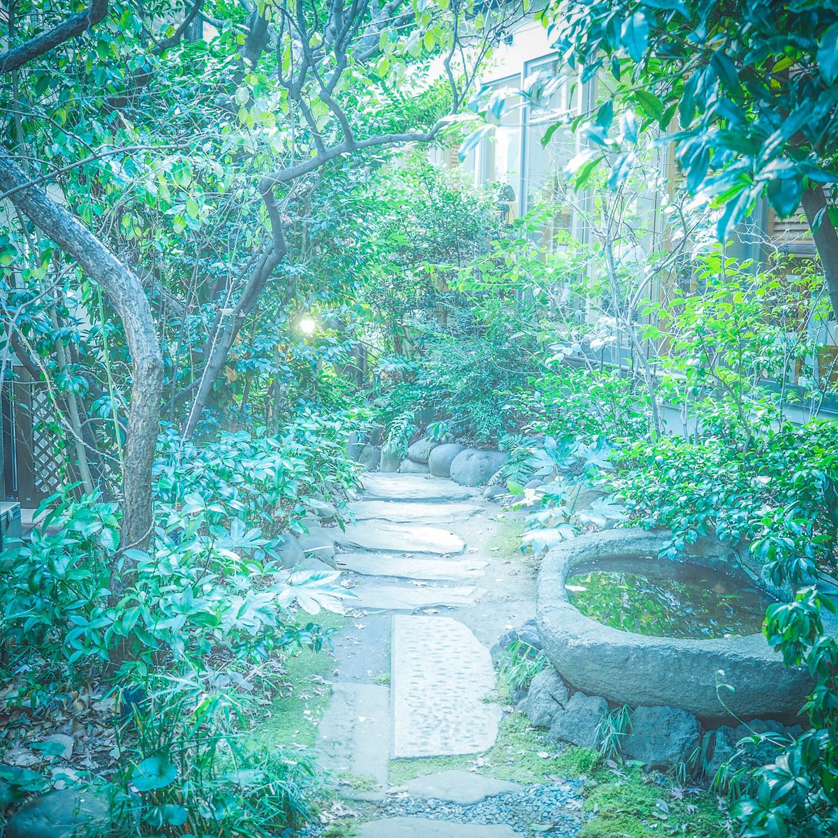 ryopg8's tweet photo. 最近はこういう淡くてトトロがでそうなかんじの写真にはまってる次第です。

#ファインダー越しの私の世界 
#写真好きな人と繋がりたい https://t.co/N0pGtQFi4w