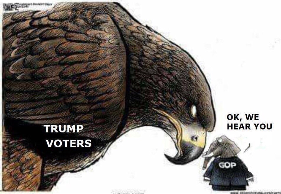 SCgal_'s tweet image. This pic says it all after the #DebateDebacle! Stand behind you candidates @GOP! @realDonaldTrump