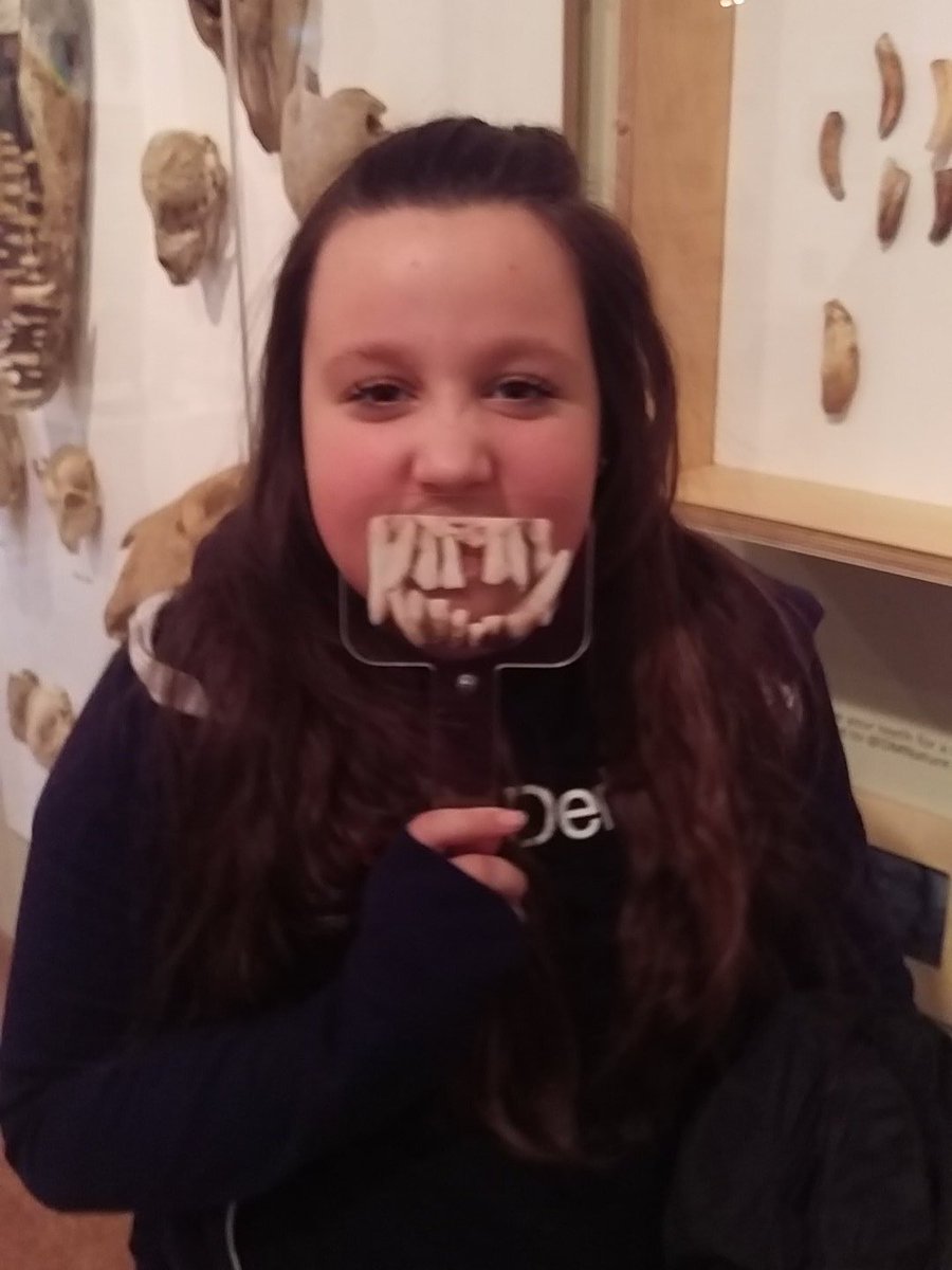 liveableplaces's tweet photo. @DMNature #teeth https://t.co/g99auPhNOj