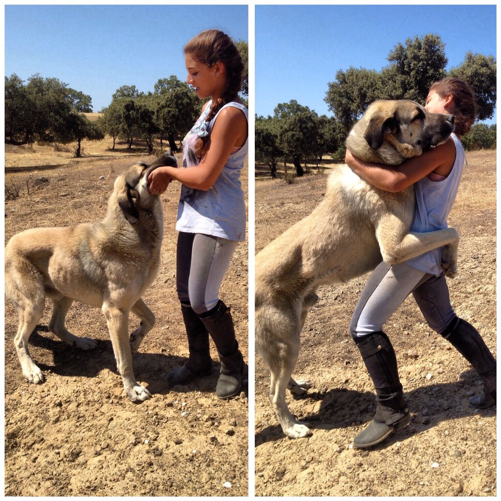 Pilar_gn_nv's tweet photo. Felicísimo cumpleaños a mi bae, mi true love‼️‼️👫🐶🐶❣❣4️⃣👫👫❣❣😍😍🐶🐶 https://t.co/V9ezAT6YtZ