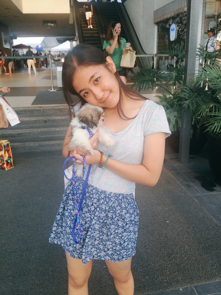 pineduh's tweet photo. I miss you already, baby Chili huhuhu. 😭💔 #dognapped #OFWparent https://t.co/zaMXMklRDM