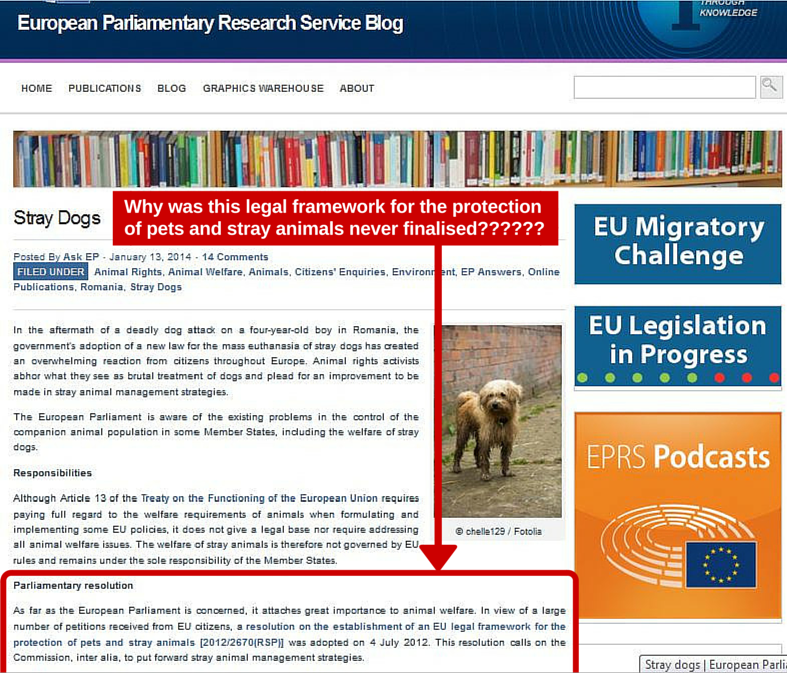 .<a href="/JuttaUrpilainen/">Jutta Urpilainen</a> Please URGENTLY FINALISE the EU Legal Framework for the protection of pets &amp; strays #DiaDelGalgo #Galgos #Podencos