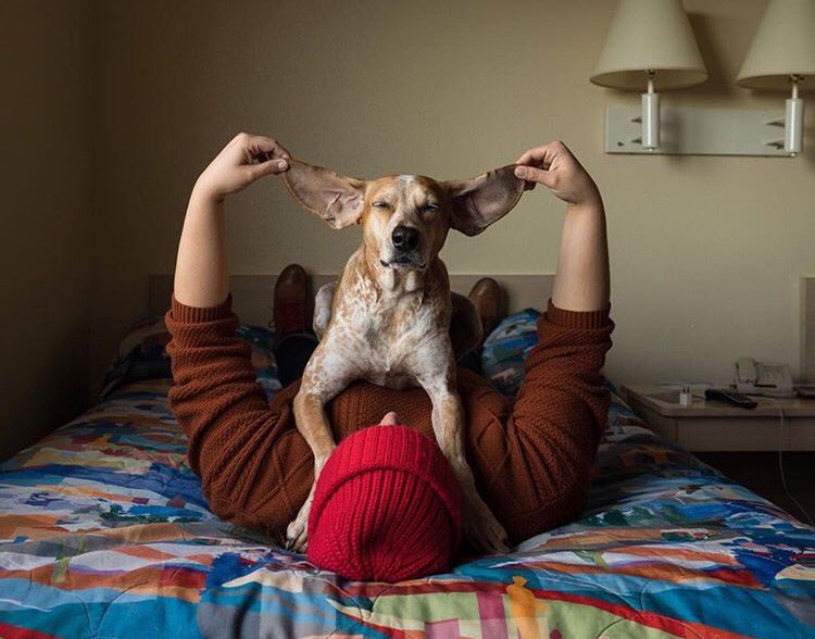 Ekoiq's tweet image. Dünyayı, hayvanı, doğayı, insanı sev! 
Sadece bugün değil, her günümüzün sevgi ve barışla dolu olması dileğiyle! 💓