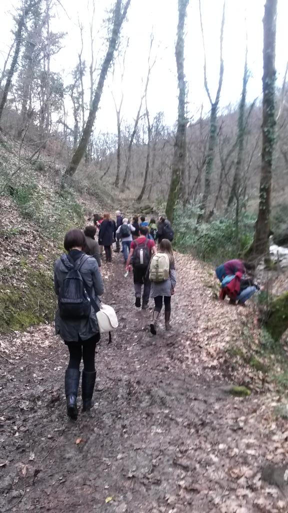 Sürmeli çalıkuşu, kızılgerdan ve öter ardıç ötüşleri ile başlayan termal ormanı gözlemi devam ediyor.