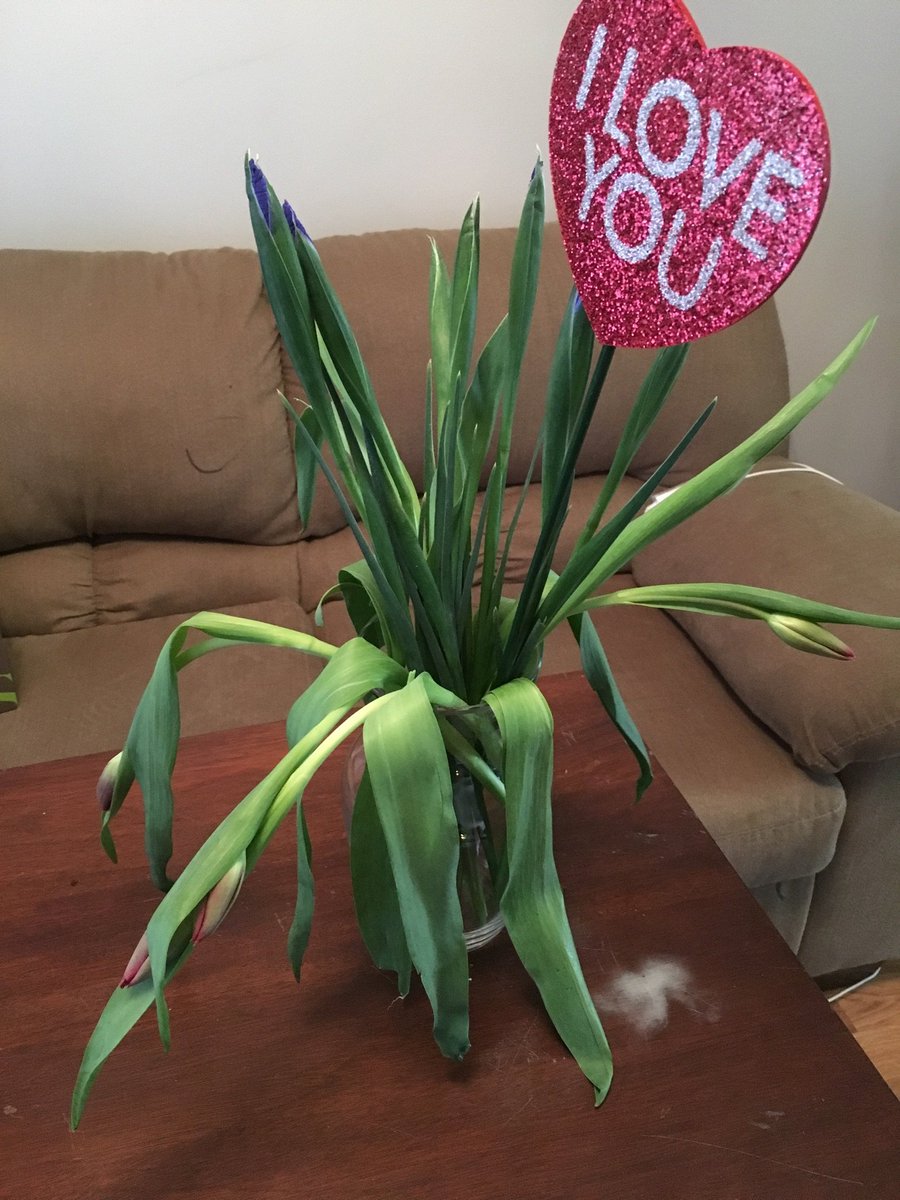 camstrader's tweet photo. @ProFlowers, thank you for the beautiful bouquet. $29.99 flowers for $69.99. Made my wifes day. #commonguys #wtf https://t.co/AlPmNAB7OB