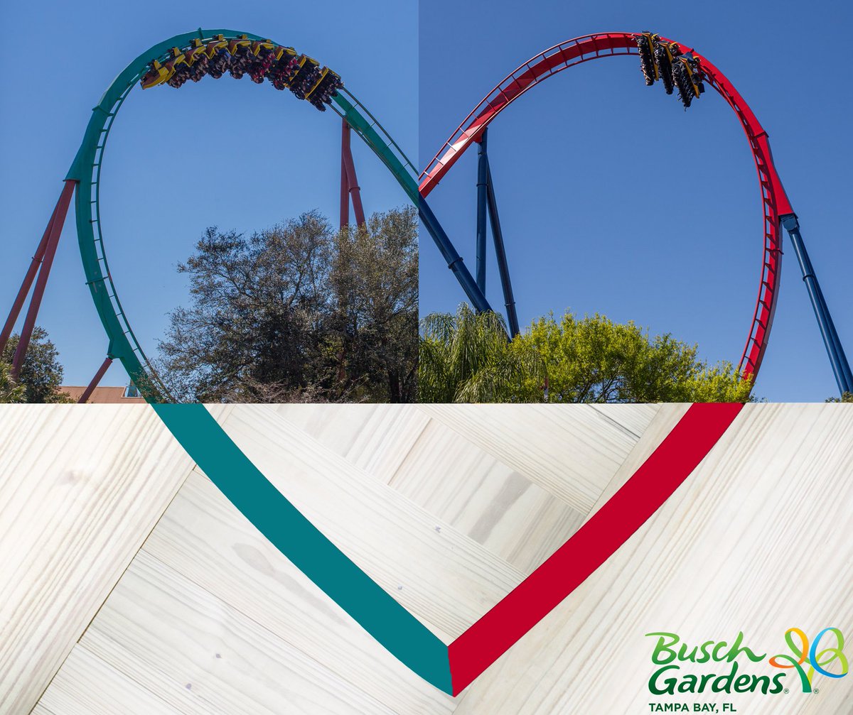 Busch Gardens Tampa Bay On Twitter Happy Valentinesday From