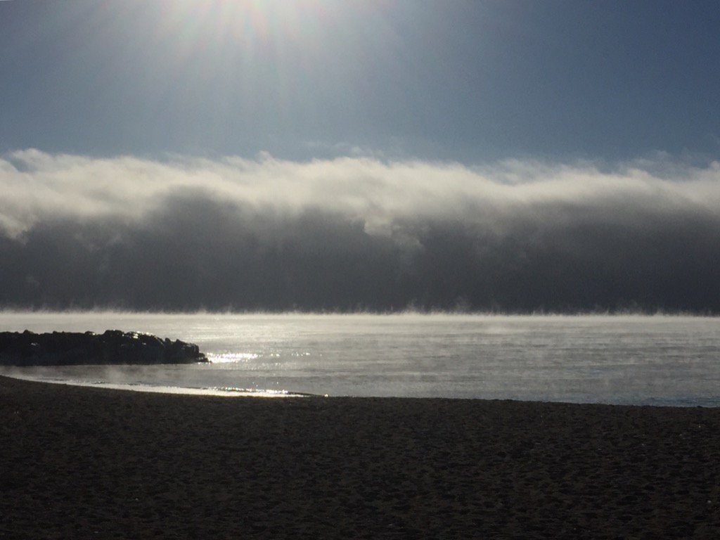 Jimson B tweet media