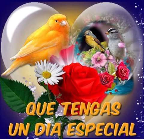 circuloszulia's tweet photo. feliz día del amor y la amistad y revolucion círculos bolivarianos originarios eulise abanero cordi región Zulia. https://t.co/bDxAuhWidS