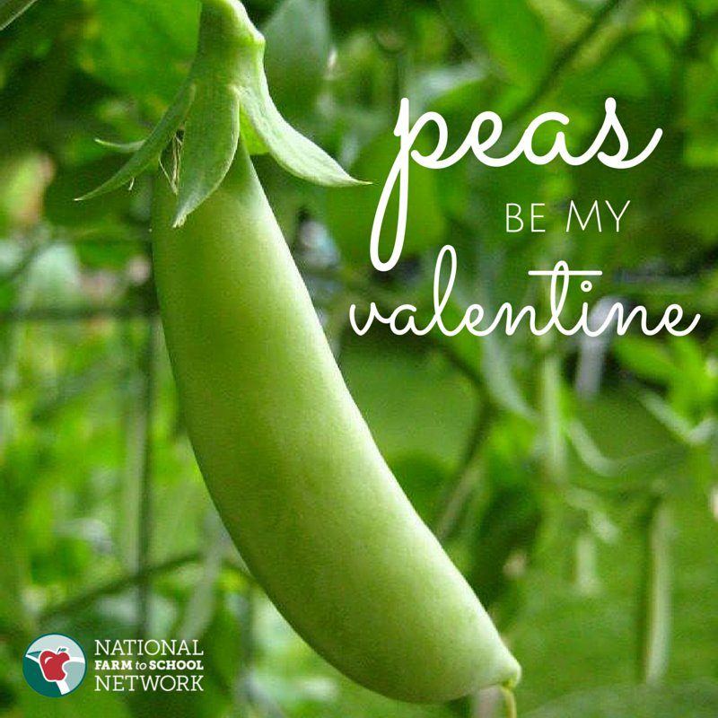 Happy Valentine's Day! <a href="/FarmtoSchool/">National Farm to School Network</a>