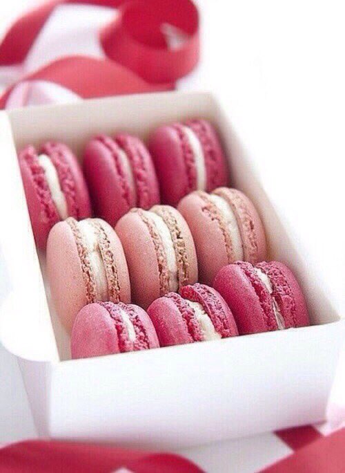 txmxrrow_'s tweet photo. @ovrsexed If you're there, happy Valentine's Day, my love. Thank you for existing. ♡ https://t.co/PJGyyNeuvl