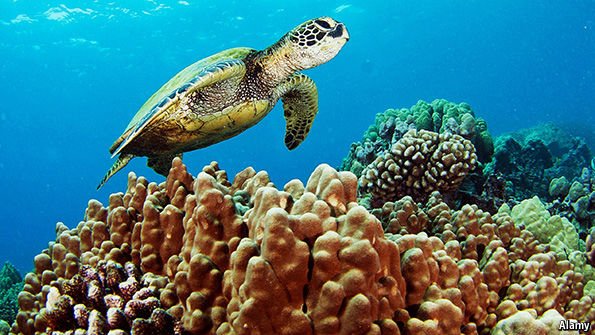 A little less conversation, a little more conservation please: how to save coral reefs econ.st/1TaN0na