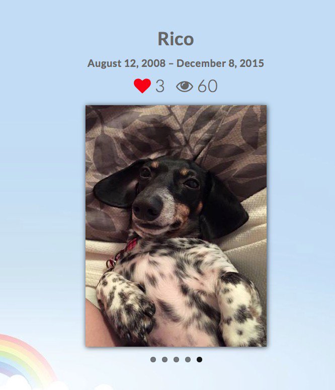 FluffyMemorials's tweet photo. Rico's memorial was given as a gift. Please comment here: https://t.co/h2ei25LR9G A great idea for friends. <3 https://t.co/3CI9JYjX7V