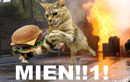 LOL_Cats (@lolcats_fun) on Twitter photo 