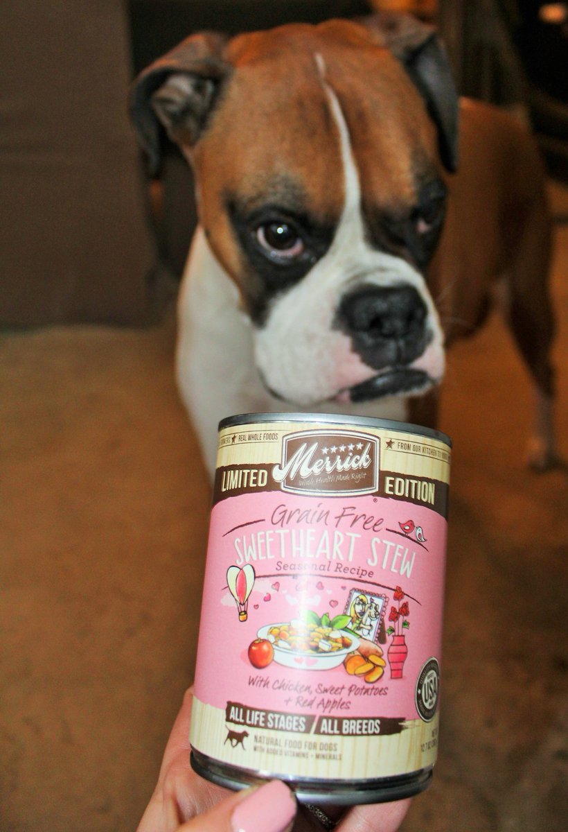doggiemadness's tweet photo. Mom must love me, @MerrickPetCare #SweetheartStew w chicken, sweet potatoes &amp; red apples! #Valentines #boxerdog https://t.co/Tk5MXfmBC0
