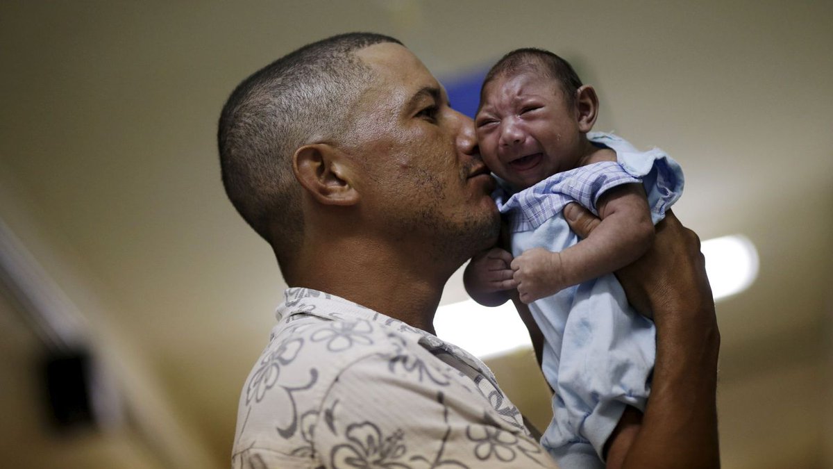 XavierPaul_'s tweet photo. Le rapport qui prouve que les encéphalites ne sont pas dues au #Zika mais à un insecticide
https://t.co/McLqk1JDP0 https://t.co/pnZvRrgIb1
