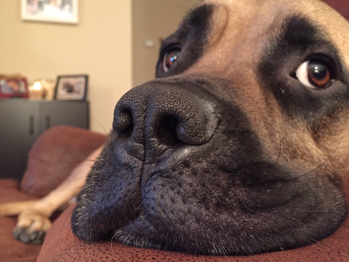 BrunoKilmer's tweet photo. I'll be your Valentine. 😘 #heyladies #brunogram #HappyValentinesDay https://t.co/hbBaJs6sE0