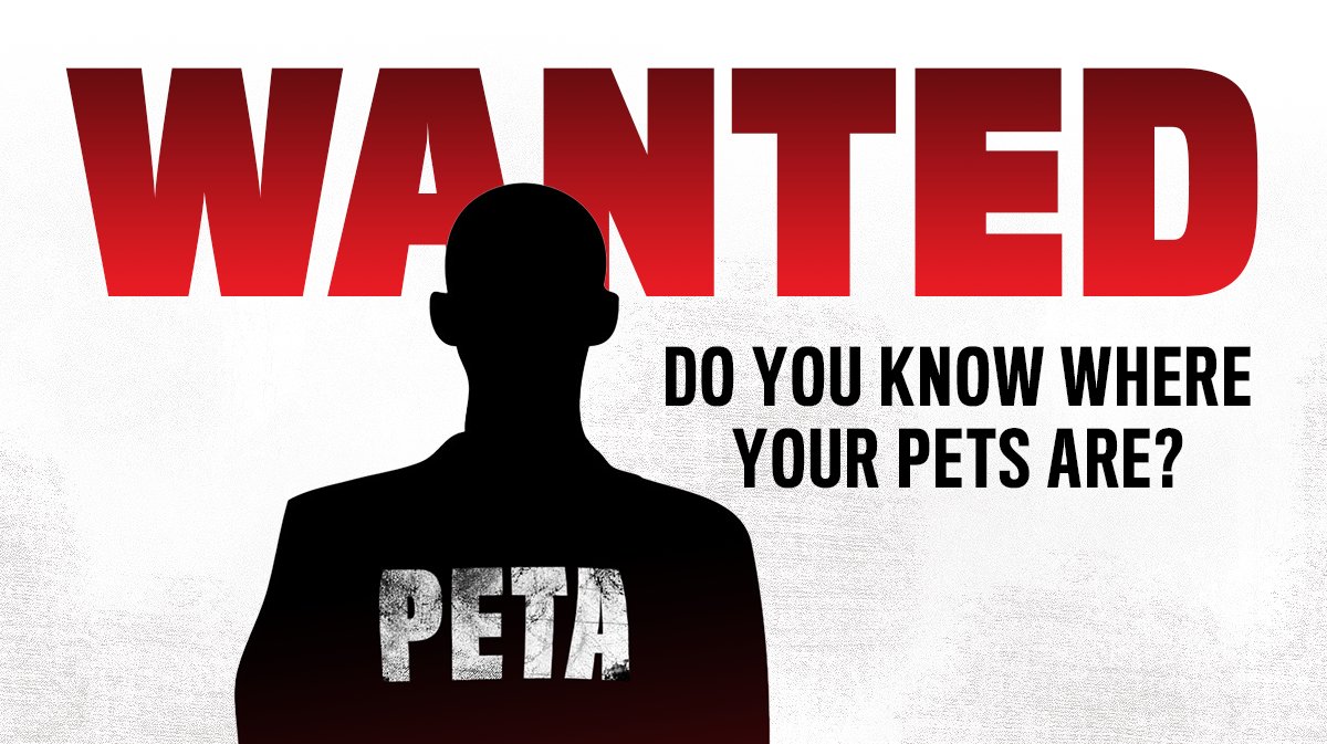 PplAgainstPETA's tweet photo. Don't let #PETA snatch up any more innocent animals! #pettheftawareness https://t.co/N8r6mHZS8L