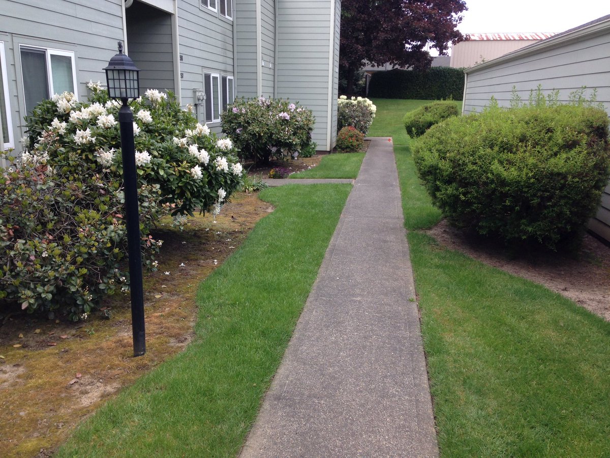 OccupyHOA's tweet photo. Virtual #genocide. They know not of what they do. Thinking they will grow back. Not in my lifetime. #HOA #Gardening https://t.co/G6vMpXyNaY