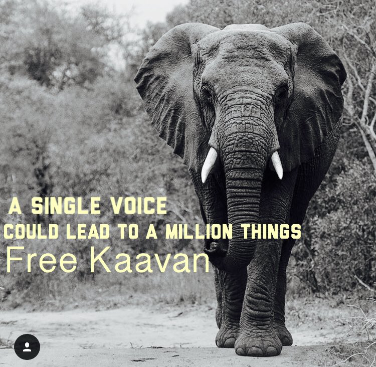 anikasleem's tweet photo. @EstiRachel @_AnimalAdvocate @PMNawazSharif @Protect_Wldlife @willtravers @domdyer70 @rickygervais https://t.co/i3TXYdaJvj