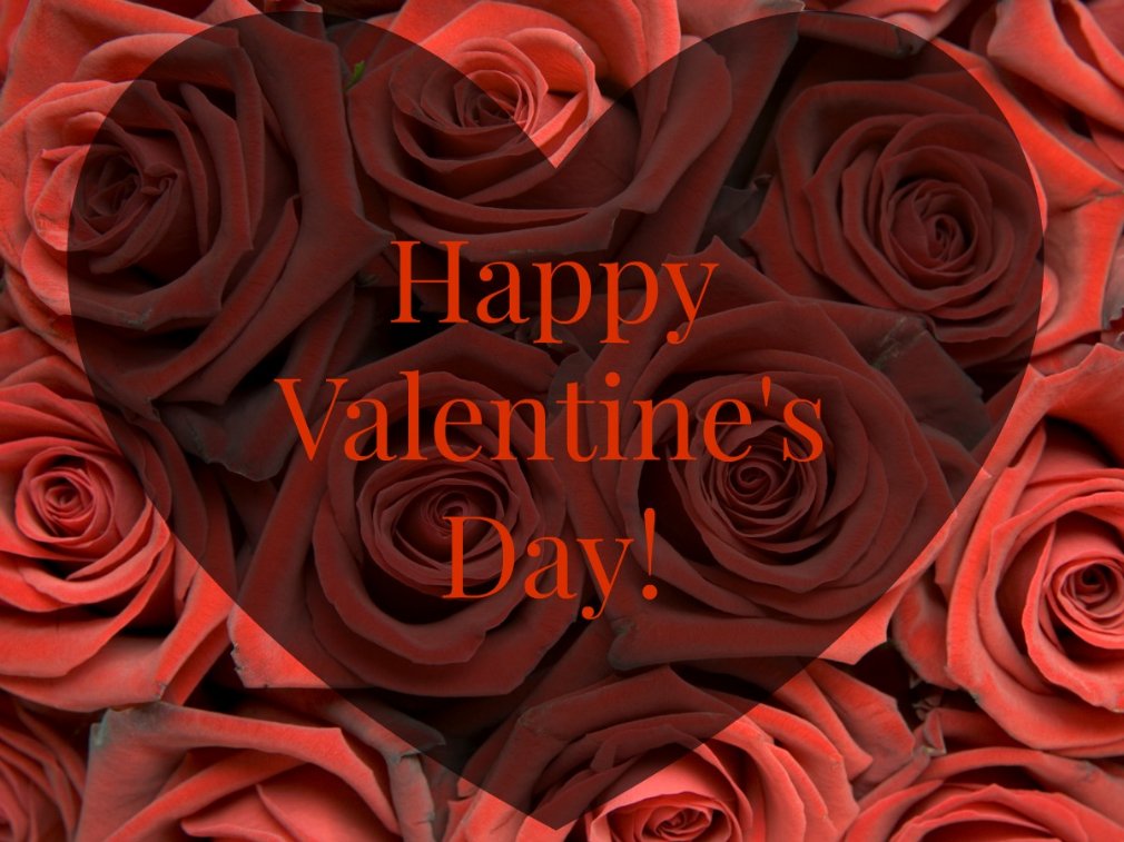 AZRoomStore's tweet photo. What are you and your sweetheart doing for Valentine's Day today? https://t.co/zxqZWWhEFs