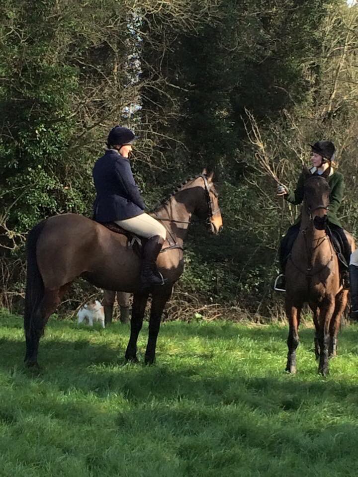 SophiexJane's tweet image. Monkey was cool today, helped me get my confidence back after last weeks fall. Enjoyable sunny day #cudh