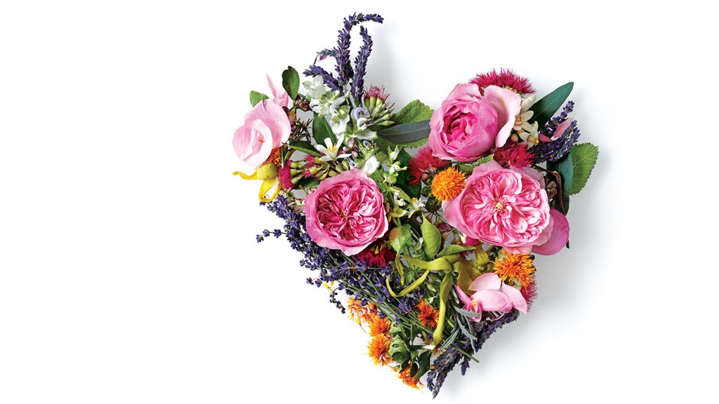 aveda's tweet photo. Happy #ValentinesDay! Spread love to those around you and be present and positive. #Wellness https://t.co/zQvC3l34TO