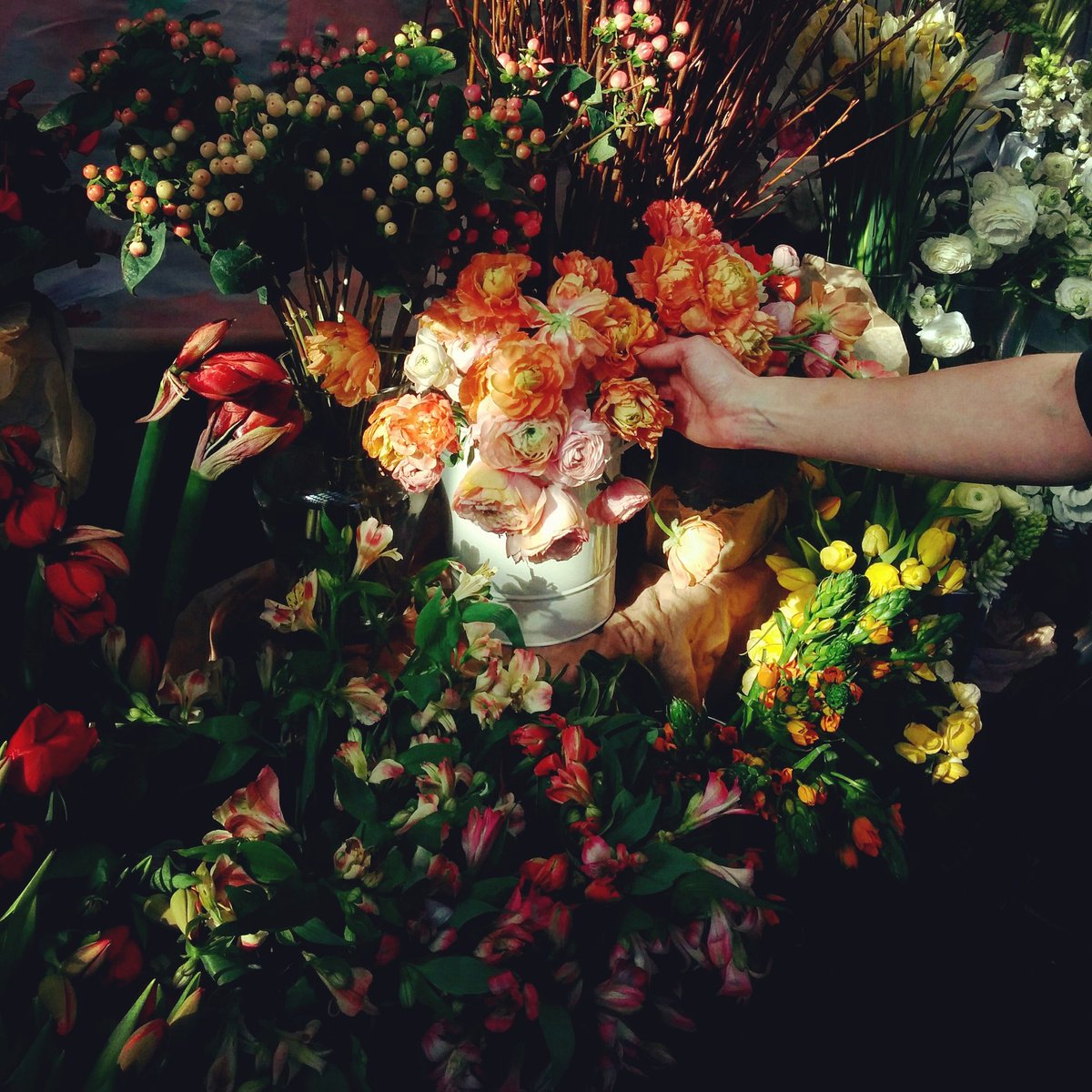 Picking flowers at the V-Day flower market <a href="/thedrakehotel/">The Drake</a> <a href="/TOflowermarket/">TorontoFlowerMarket</a> #HappyValentinesDay