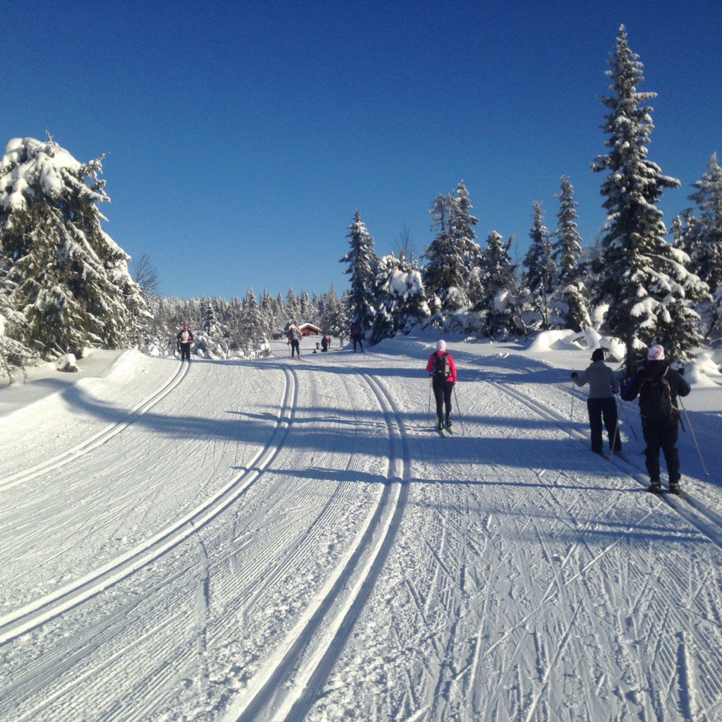 Absolutely fantastic on the Birken course today. -12 and sun shine