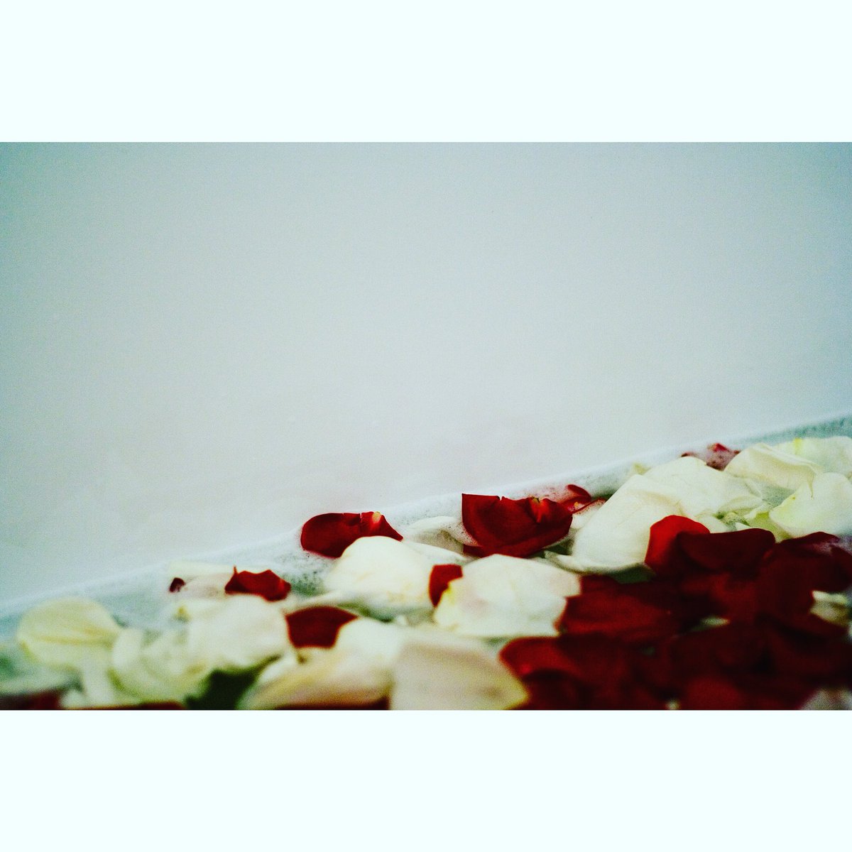 vivanonmusic's tweet photo. Happy Valentine's Day lovers. Go kiss someone. #getromantic https://t.co/LlyJsZKZZk