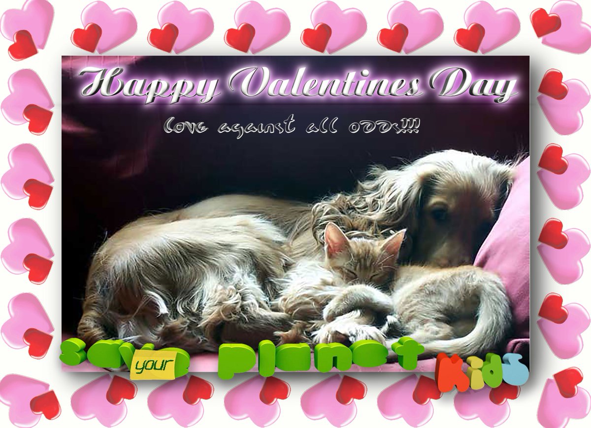 SaveYourPlanet1's tweet photo. Valentines' give away for retweet. https://t.co/Hb3NwsBW8R for iOS or https://t.co/0PRykDNrkE https://t.co/ikckt3rJCk
