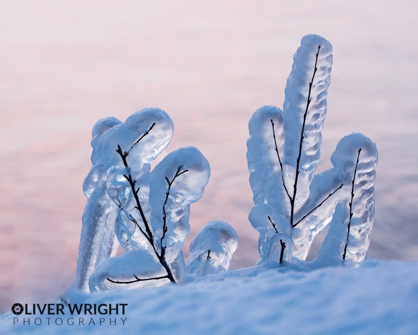EstherTNewer's tweet photo. RT https://t.co/r2i91u64rV Rime Ice, Abisko. https://t.co/GrclSnEURP Courtesy of OW_Photography #Rimeice #StormH… https://t.co/EtW4jQvVK5