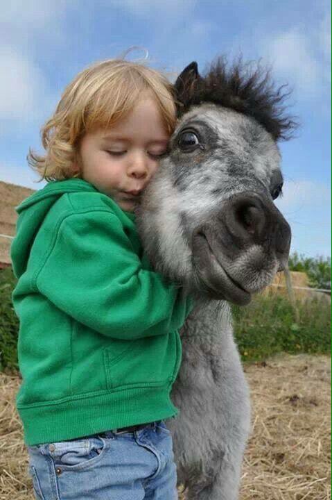 Lalalaaurav's tweet photo. An accurate description of what I want to do every time I see a horse https://t.co/lc00JpaAD7