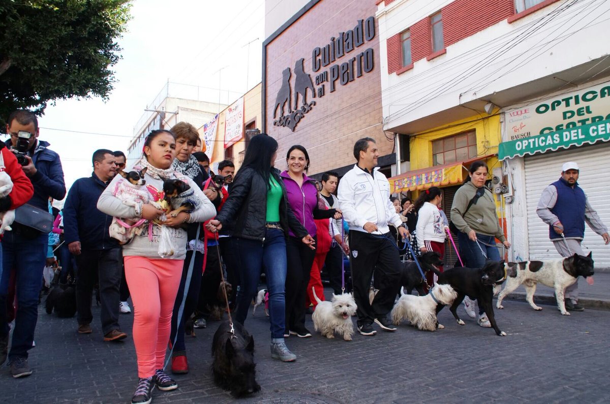 EleazarGarcia_'s tweet photo. Cientos caminaron con nosotros en #Perroton del #DiadelAmorylaAmistad @Pachuca_

Cada vez son más ! #Gracias! https://t.co/anjr9XVgIe