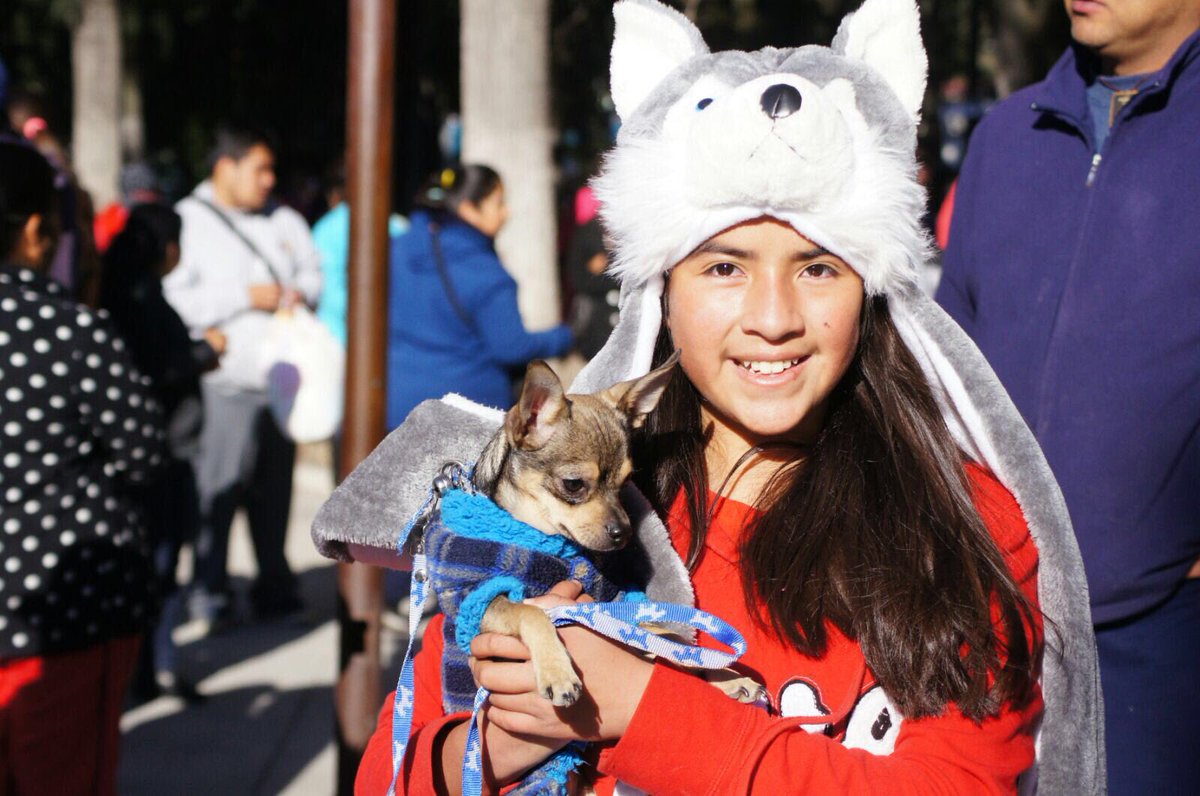 EleazarGarcia_'s tweet photo. En mi gobierno hemos impulsado la cultura del cuidado y respeto animal así como la convivencia familiar! #Perroton! https://t.co/R4l63lu517
