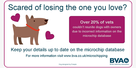 BritishVets's tweet photo. Don't risk losing your much loved dog this #ValentinesDay - make sure your micrchip database info is up-to-date https://t.co/mrxhy7Gvb5
