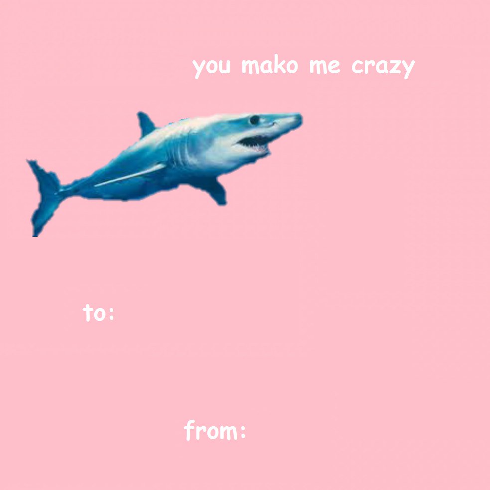 Happy Valentine's Day, Mako fans! May this day be filled with love. #MakoMermaids