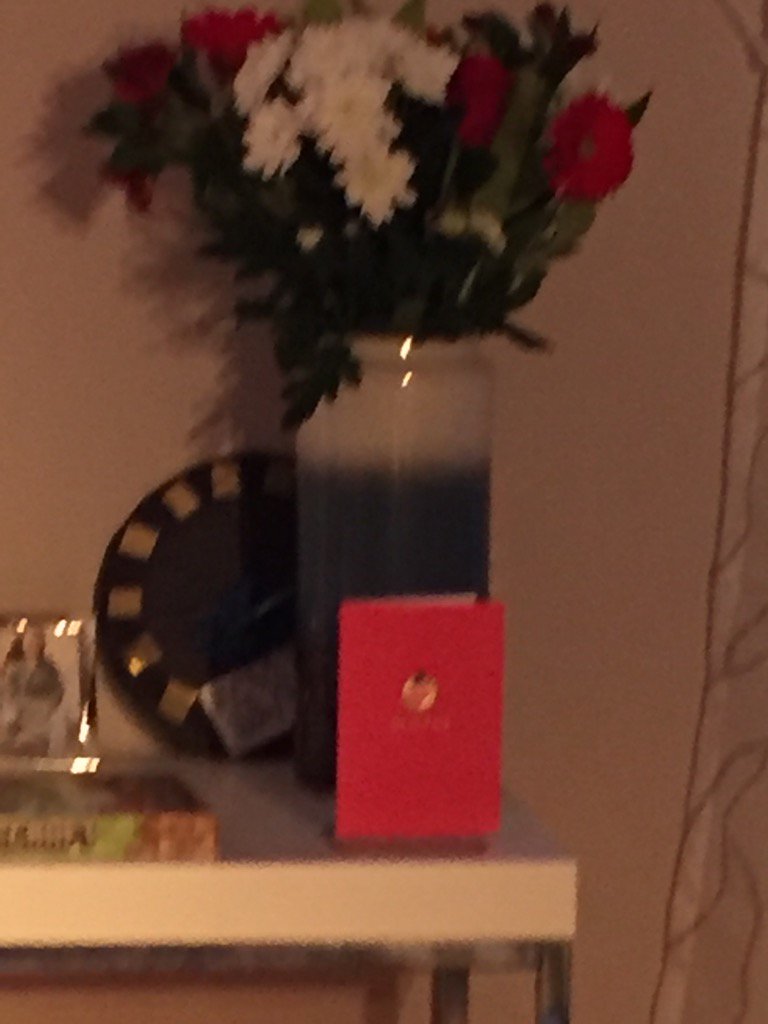 boswynn's tweet photo. Valentine's Day! https://t.co/nLD5dJrMG4