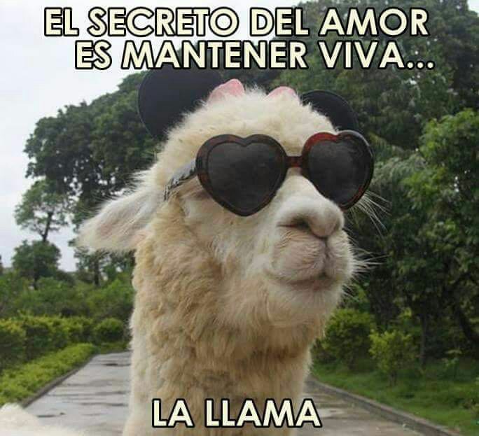 Intimo_Rest's tweet image. #IntimoTips 
El secreto del amor...