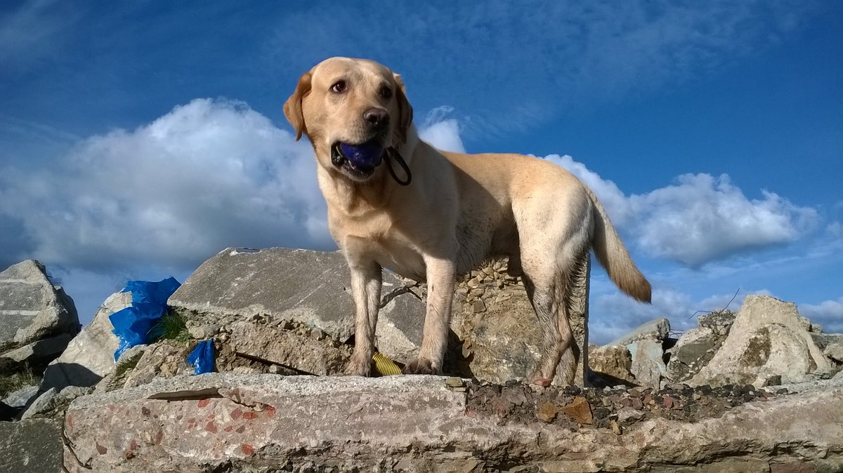 This is why we do what we do