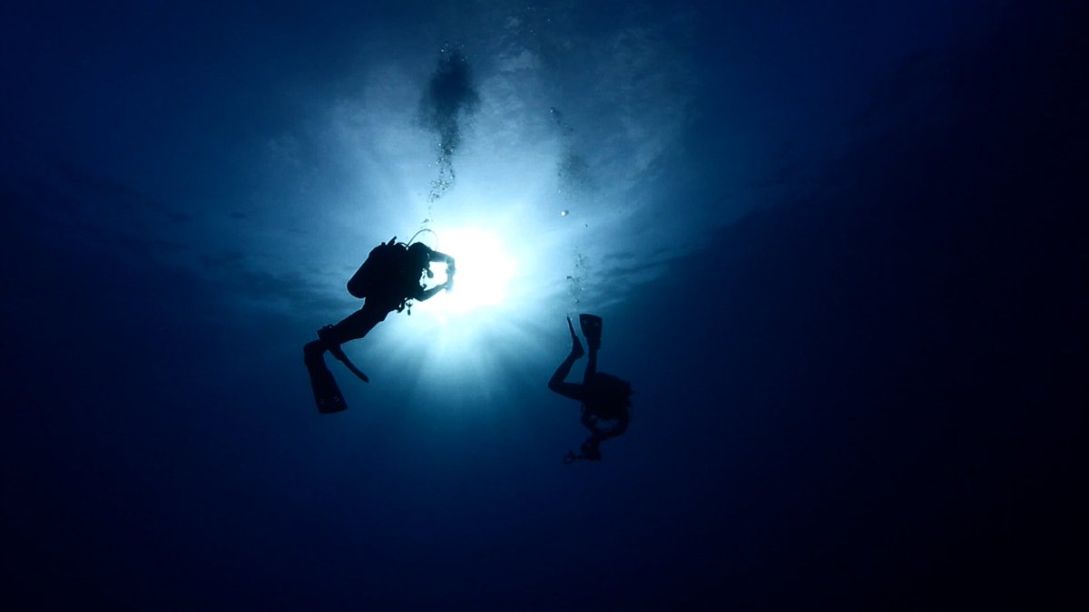 BigBoxfish's tweet photo. @ddscanner Thanks for following #bigboxfish. Watch our film on: https://t.co/tCuOIrqxR4 next #Maldives https://t.co/HrX9qSC9j4
