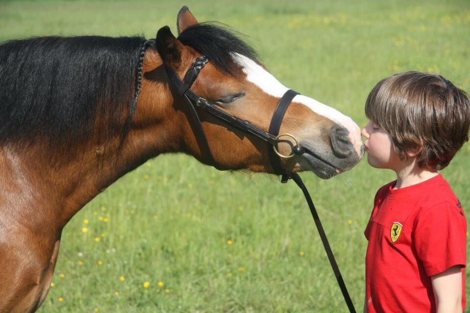 VOTE just click on this link.woobox.com/2wzz5e then scroll down to the picture at the bottom and click Vote