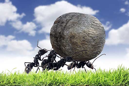 DreamTeamMLMPro's tweet image. "COMMITMENT :YOUR EITHER IN OR OUT" by @mlm_Luigi_Bruni on @LinkedIn linkedin.com/pulse/commitme… …