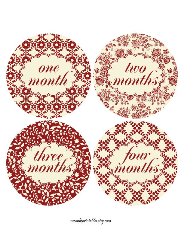 moonlitprints's tweet image. Red and Cream Baby Girl Stickers Flower Monthly Baby Sticke… tuppu.net/2eac4c78 #MoonLitPrintables #RedAndCream