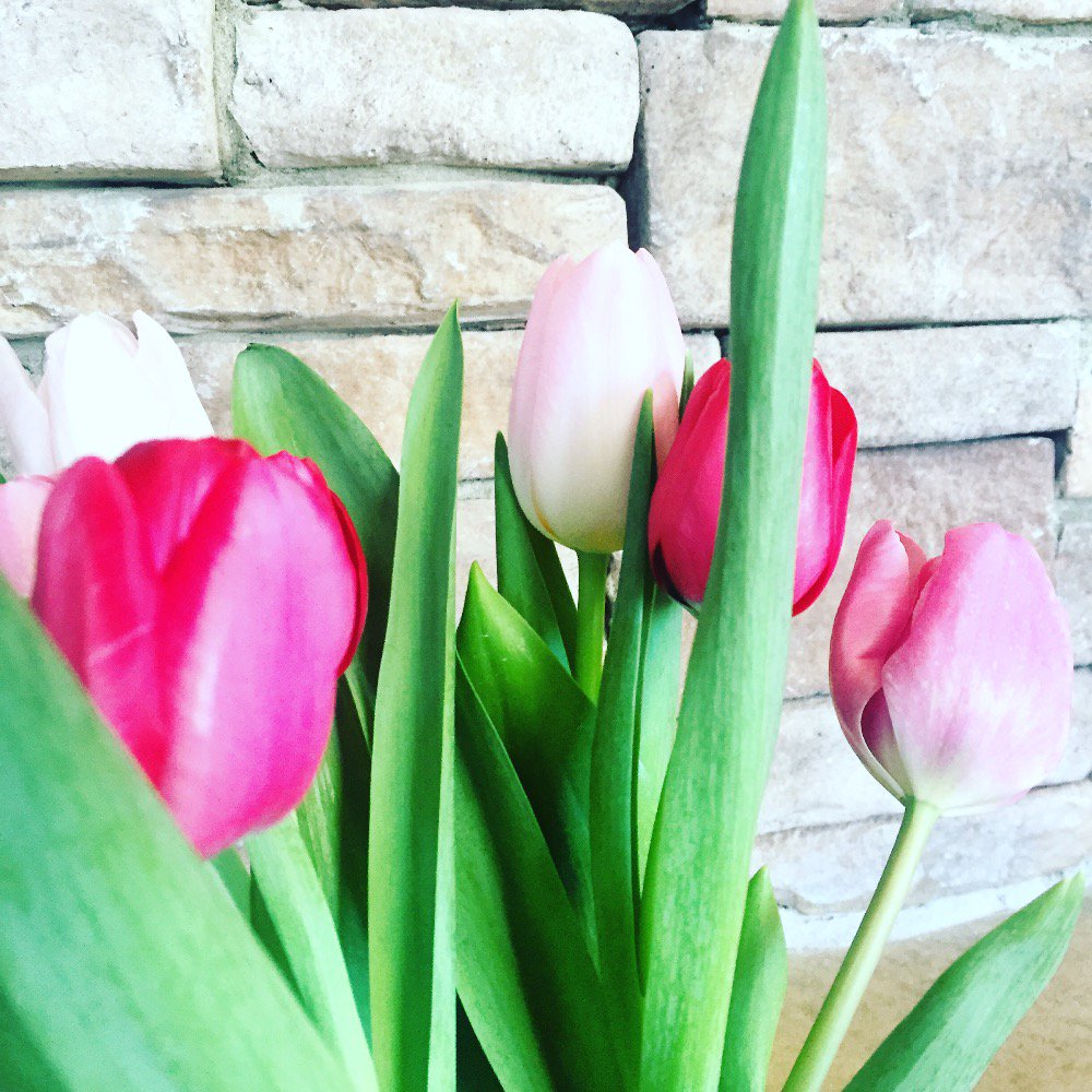 LodgeSevenOaks's tweet photo. Happy Valentines Day from all of us here at The Lodge! 💗 #Bozzuto #valentinesday https://t.co/u1dnZKzRLo