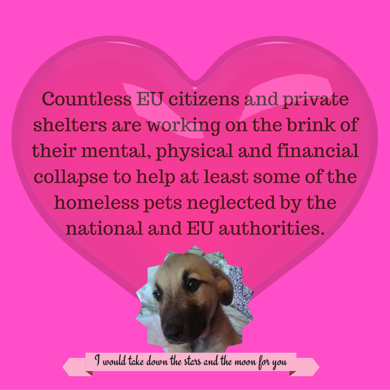 .<a href="/OliverVarhelyi/">Oliver Varhelyi</a> The private shelters &amp; persons helping the strays are on the brink of collapse #DiaDelGalgo #Galgos #Podencos