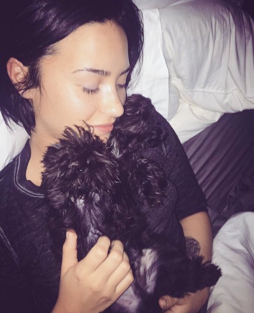 lowqualitydl's tweet photo. https://t.co/QBGtuQkQSd