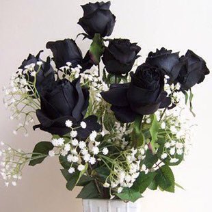 Happy Valentine's Day @RealPaigeWWE